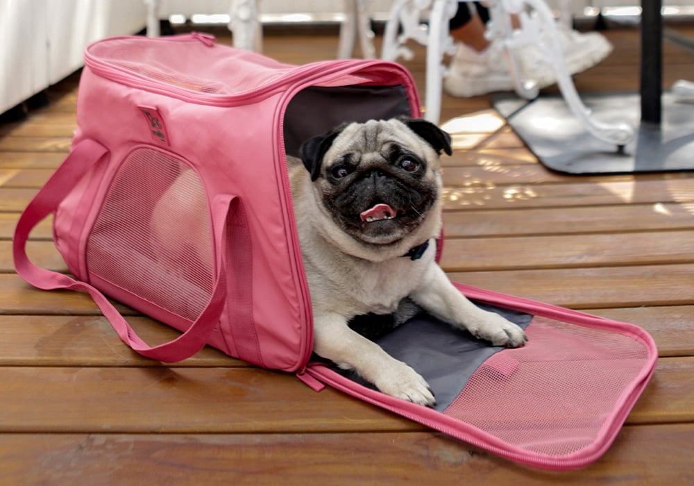 Bolso online nuz totto